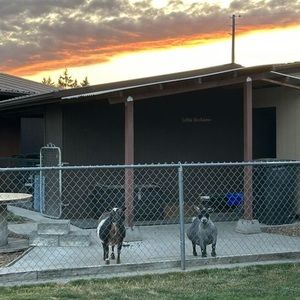 Meet your Posher, Kristi